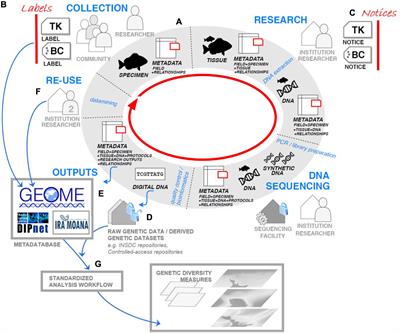 The Ira Moana Project: A Genetic Observatory for Aotearoa’s Marine Biodiversity